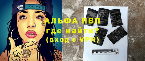прущие грибы Михайловск